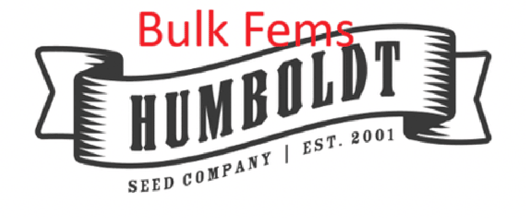 Bulk Humboldt Fem Sale